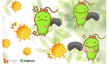 Euglena – One Unique Microalgae that Enhances Immunity in Multiple Ways